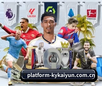 platform-kykaiyun.com.cn APP